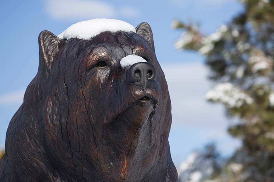 Bronze bear covered with snow