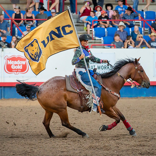 Greeley Stampede rider with UNC flag