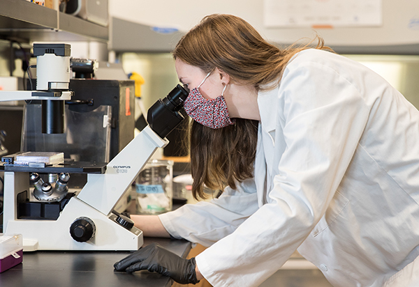 A graduate student pursuing a master's in Biological Sciences at UNC, views cells under a microscope.
