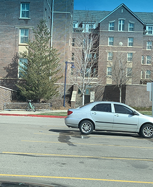 Drop off at South Hall