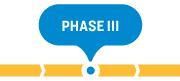Phase 3
