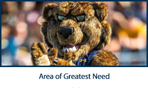 Area of Greatest Need