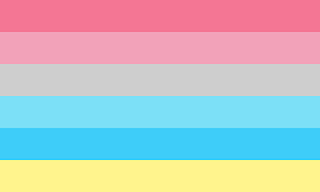 GenderFlux Pride Flag 