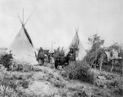 shoshone tribe housing