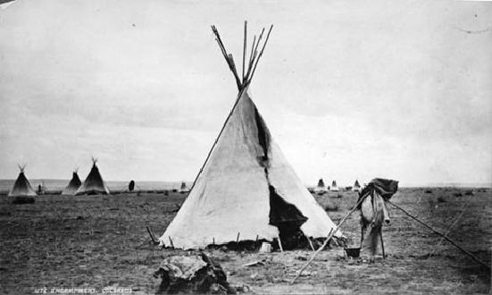 shoshone tribe housing