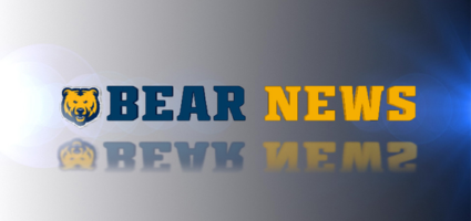 Bear News logo