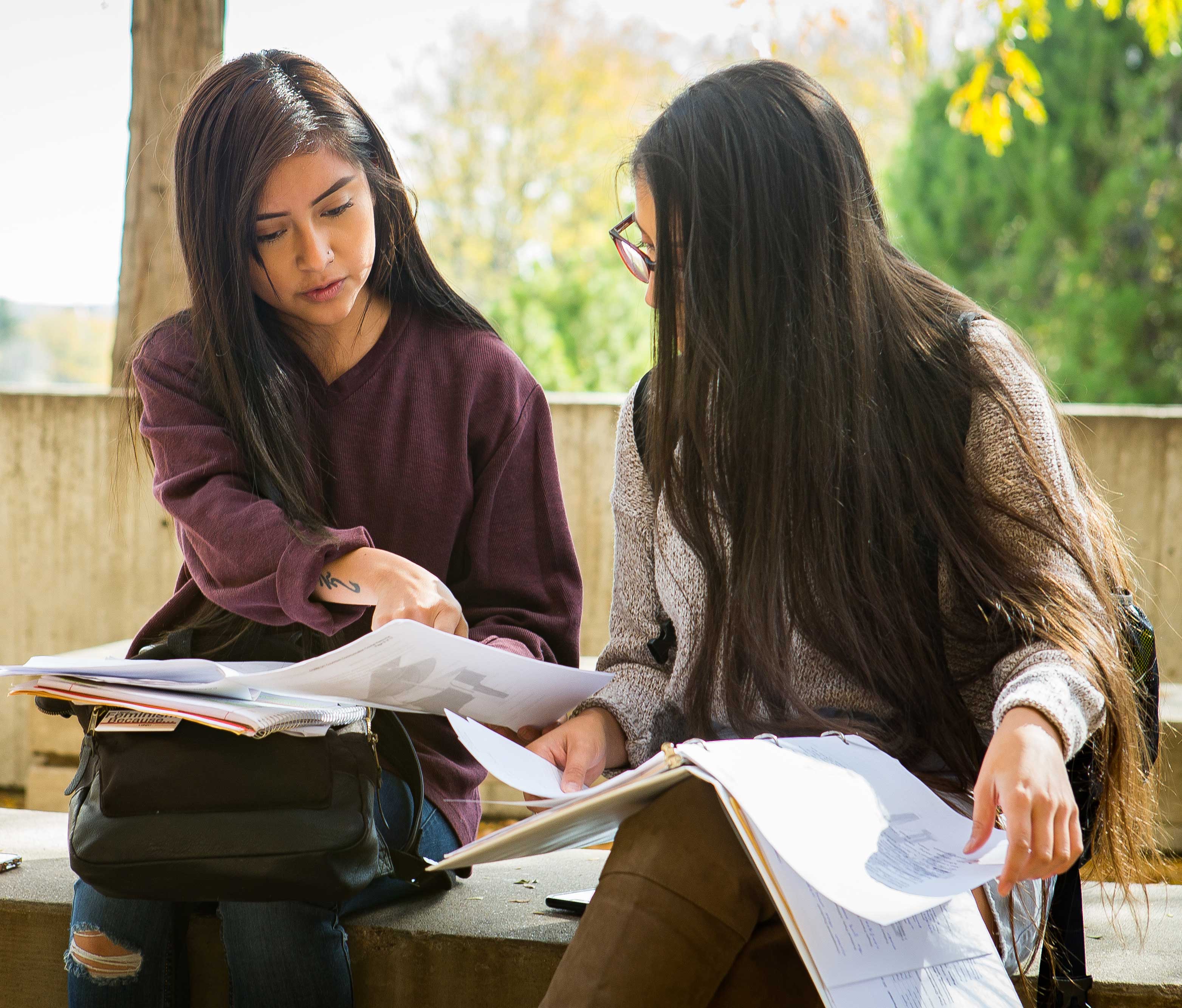 two students studying togather