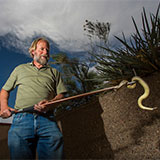 Professor Mackessy with a venomous snake