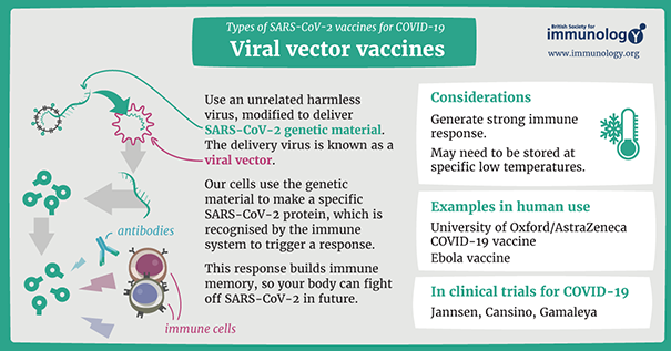 infographic on vaccines