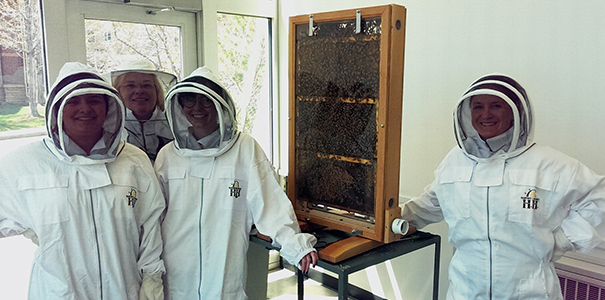 UNC members installing the beehive in Ross Hall