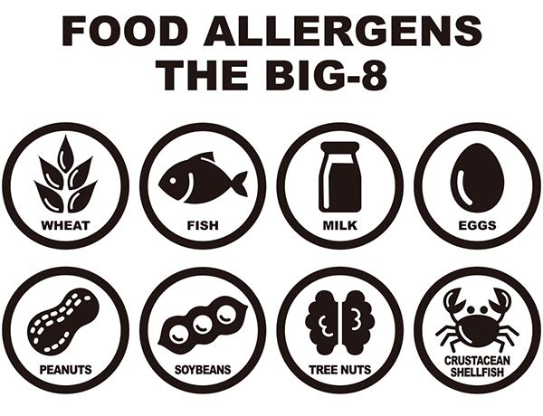 Food allergens big 8