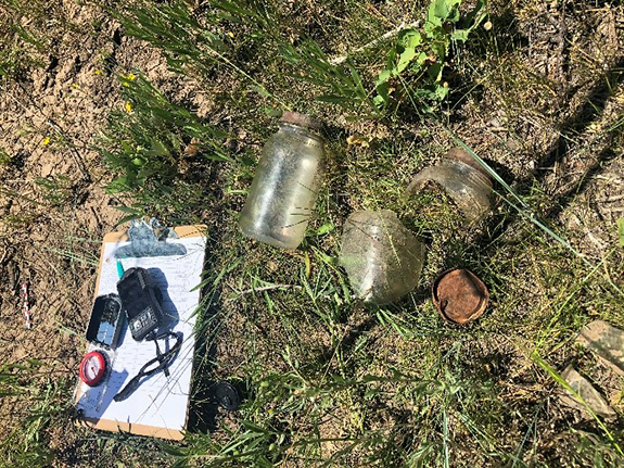 Jar shards found in the field