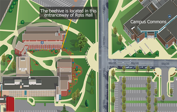 Map of where to find Ross Hall and the beehive