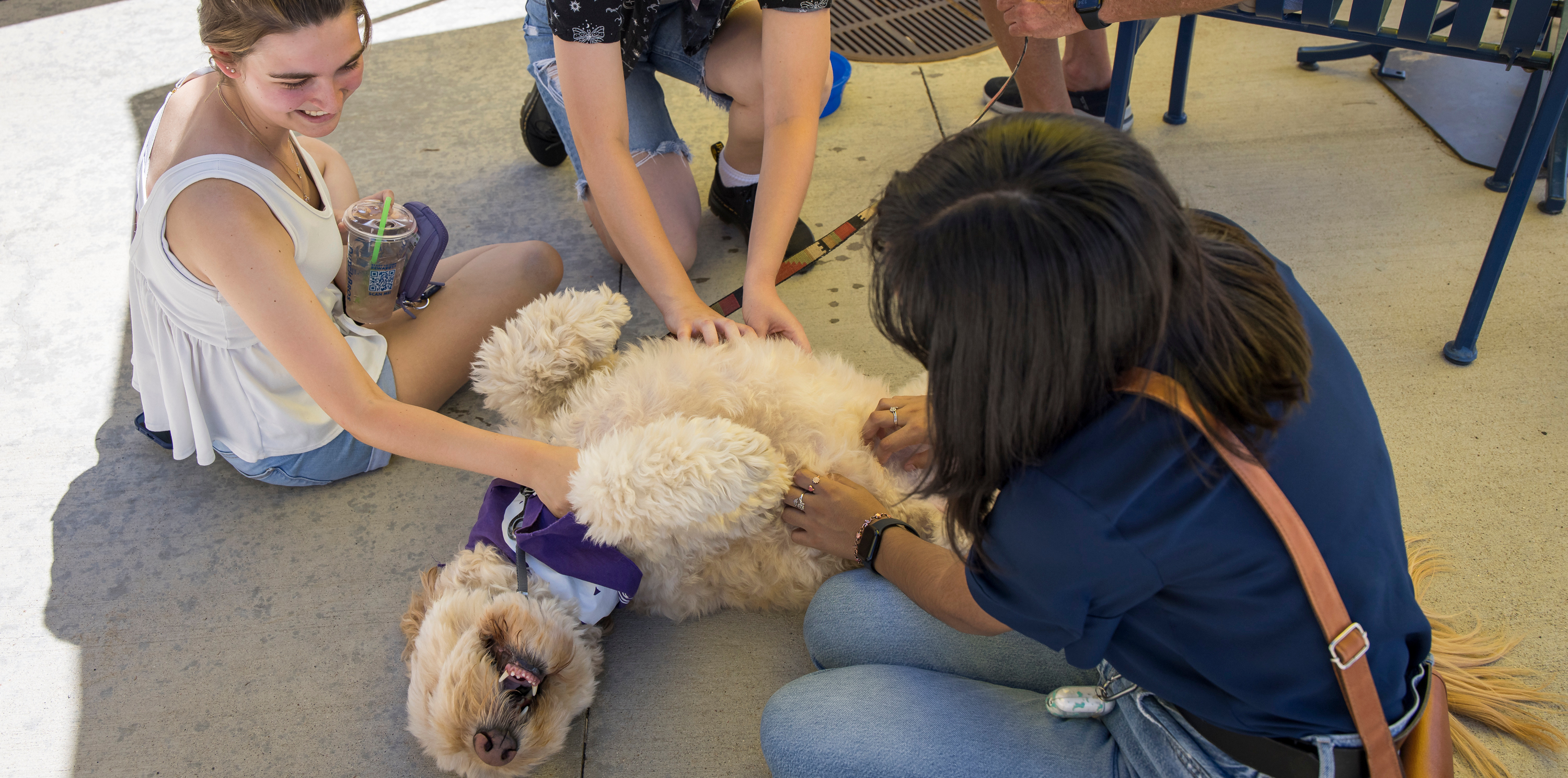 Three students petting a dog on the ground