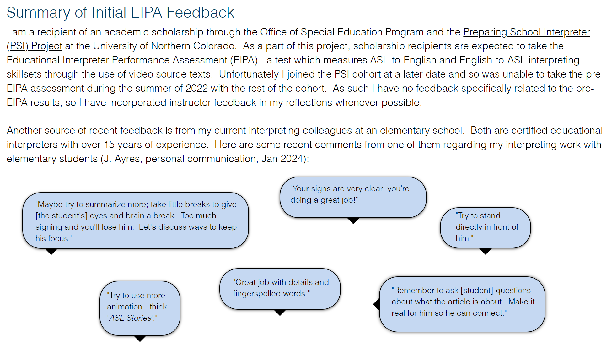 Screenshot of Scholar Si Website for the alternative Summary of Initial EIPA Feedback section