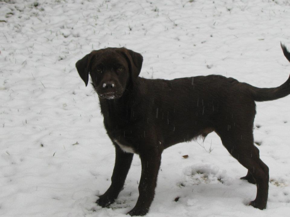 Walker first snow