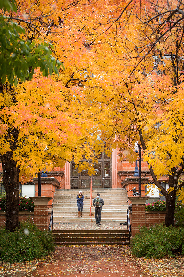 Campus in the fall.